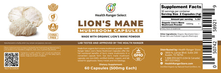 Lion's Mane Mushroom Capsules 60 Caps (500mg Each) (Made with Organic Lion's Mane Mushroom Powder) (6-Pack)