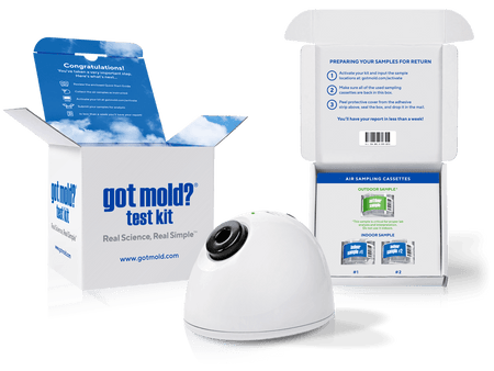 GOT MOLD? Test Kit