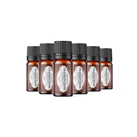 Organic Frankincense Serrata Essential Oil 0.5oz (15ml) (6-Pack)