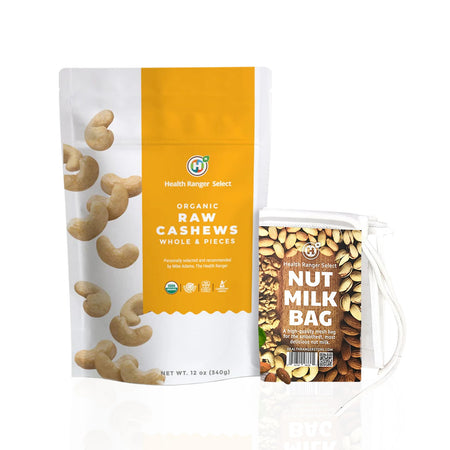 Organic Raw Cashew Milk Recipe Kit