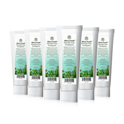 Silver Fresh Fluoride-Free Toothpaste (Peppermint + Anise) 2.5oz (70g) (6-Pack)